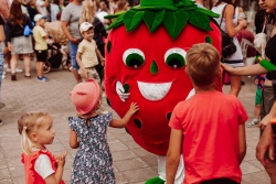 Mālpils zemeņu svētki